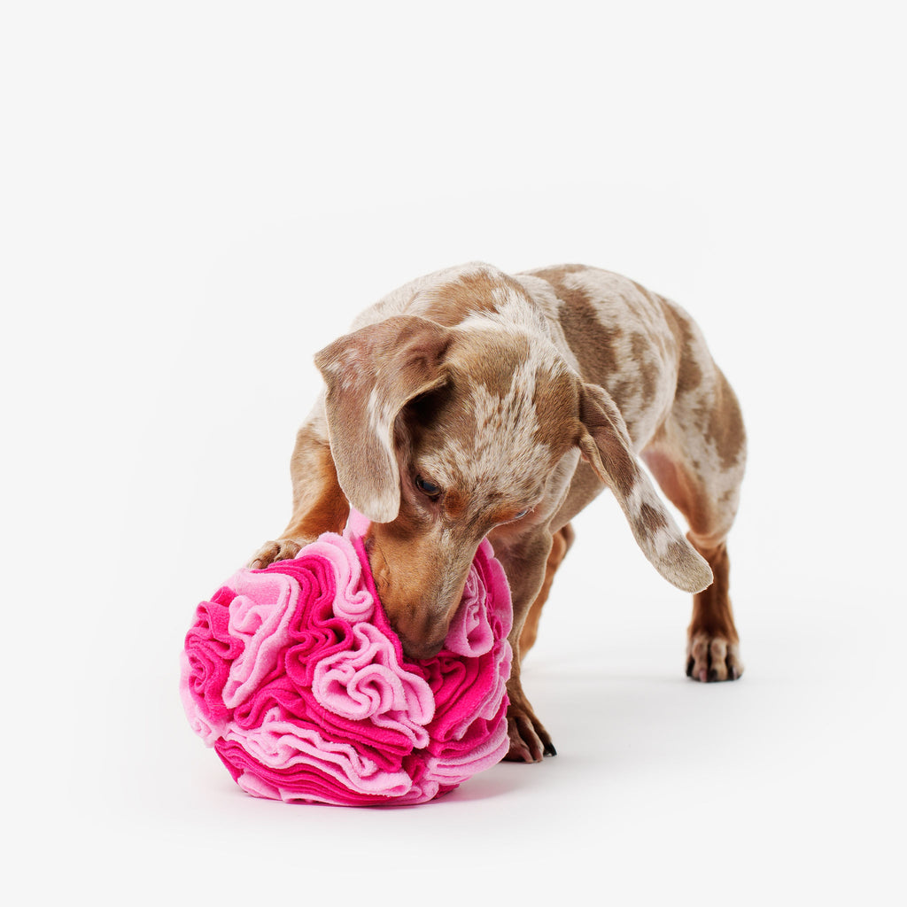 Pet Snuffle Ball - Pink | Pet Enrichment Toys Australia