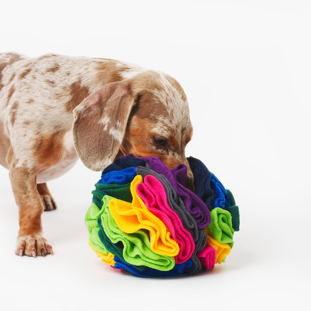 Pet Snuffle Ball - Rainbow | Pet Enrichment Toys Australia