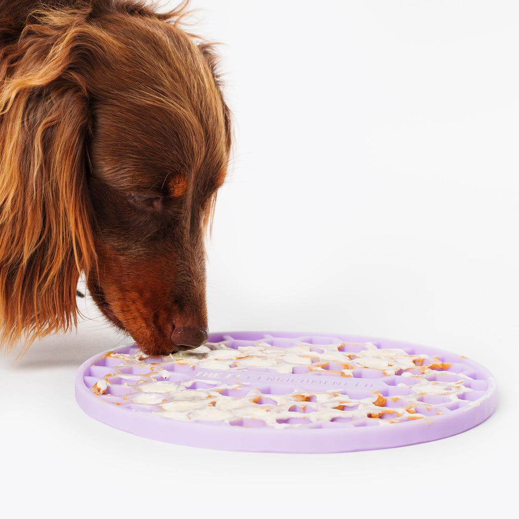 Lick Mat - Purple by The Pet Enrichment Co.