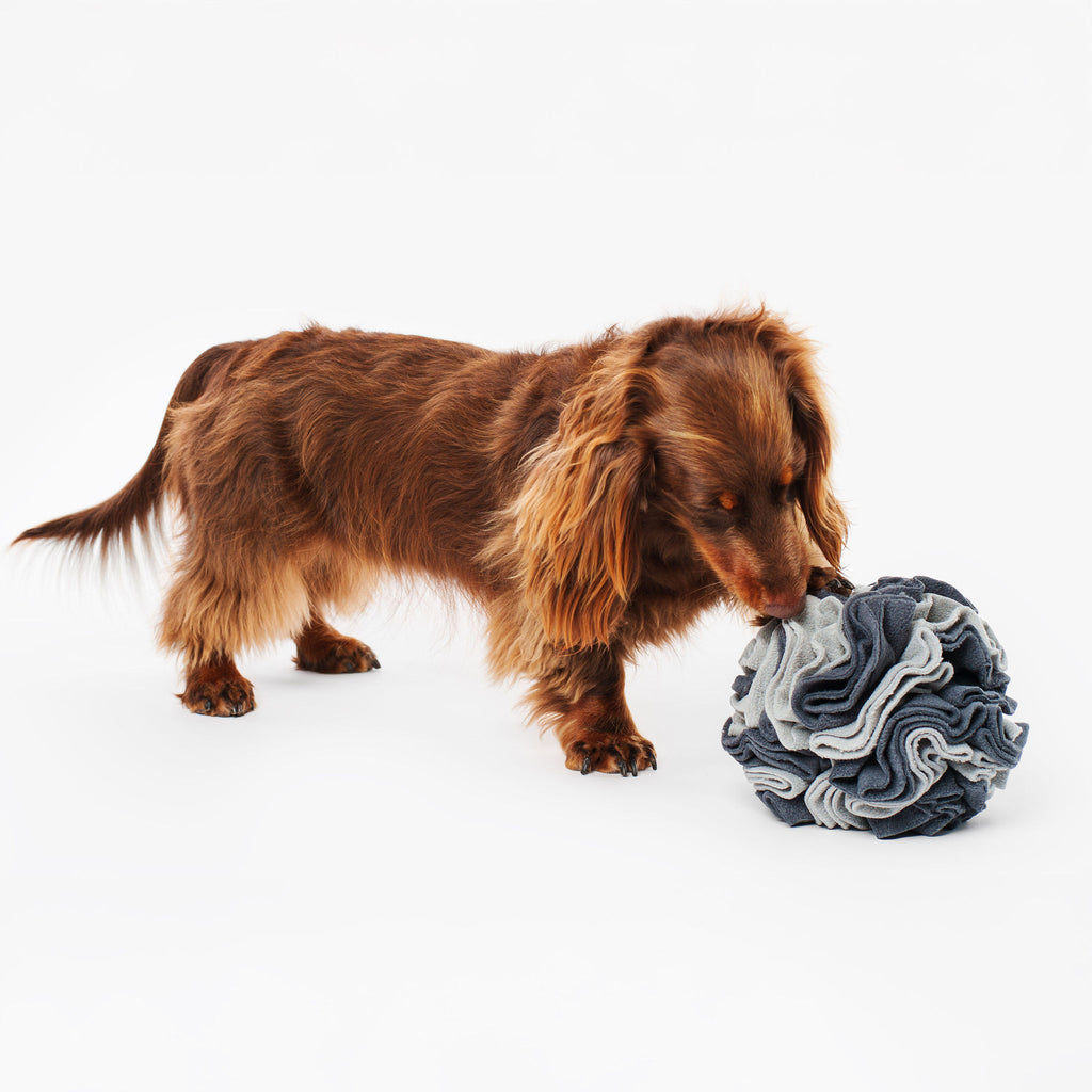 Pet Snuffle Ball - Grey | Pet Enrichment Toys Australia