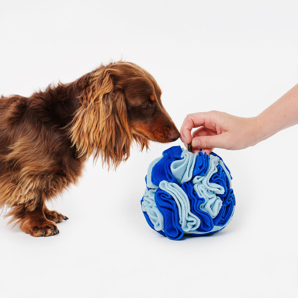 Pet Snuffle Ball - Blue | Pet Enrichment Toys Australia