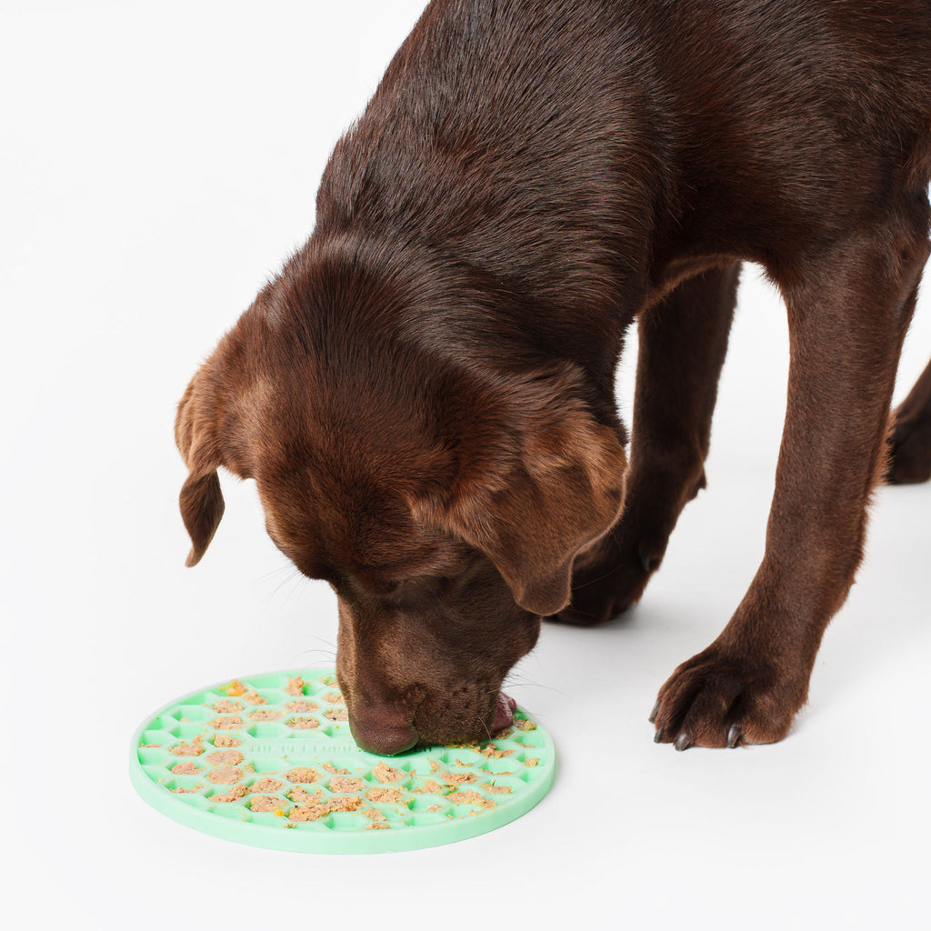 Lick Mat - Light Green by The Pet Enrichment Co.
