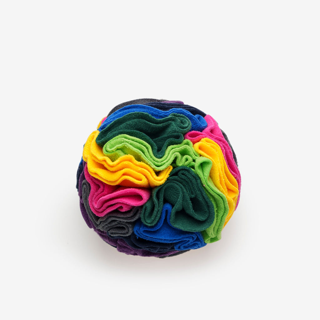 Pet Snuffle Ball - Rainbow | Pet Enrichment Toys Australia