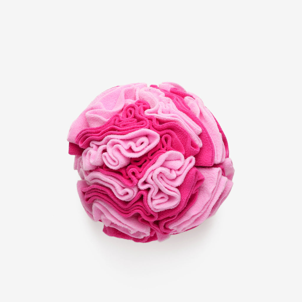 Pet Snuffle Ball - Pink | Pet Enrichment Toys Australia