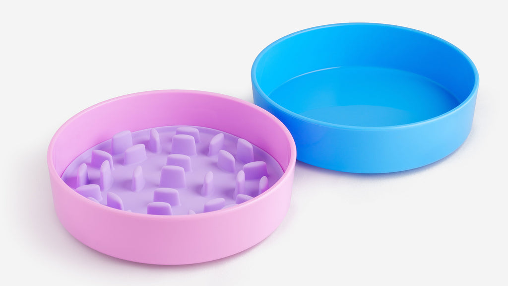 Two bowls, one purple and one blue, on a white background